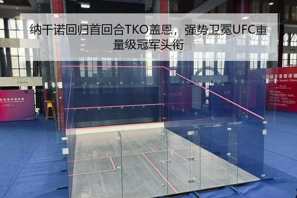 纳干诺回归首回合TKO盖恩，强势卫冕UFC重量级冠军头衔（yaxin）